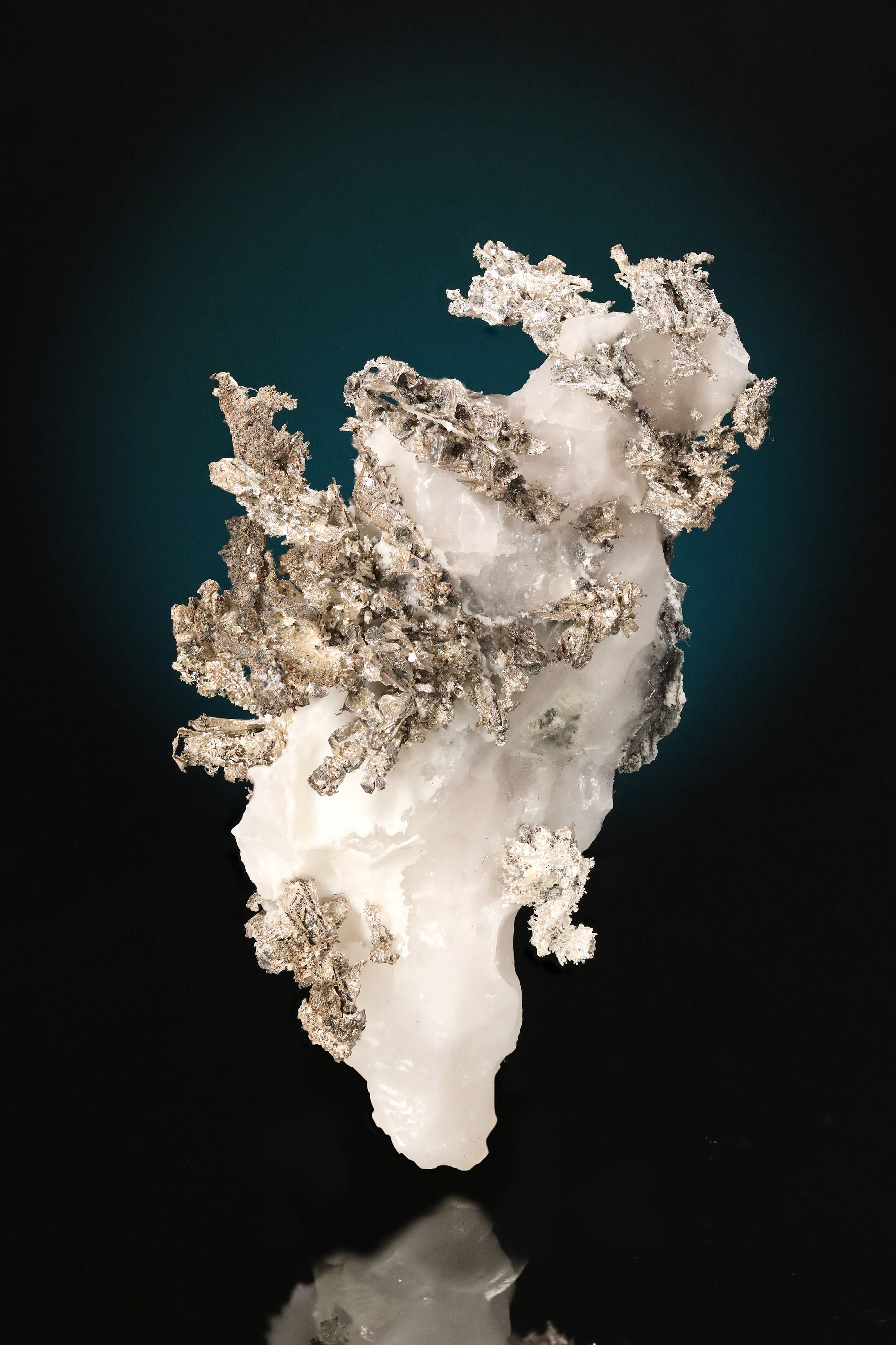 Dendritic Native Silver Crystals with Thin Native Crystal Leafs in Calcite Matri