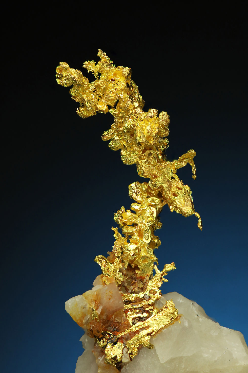 Thumbnail: Wire Gold on Quartz - Folsom Mining District, Sacramento County, California