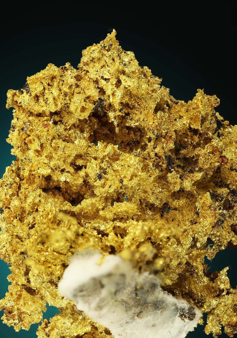 Thumbnail: Crystallized Gold - Plumbago Mine, Sierra County, California