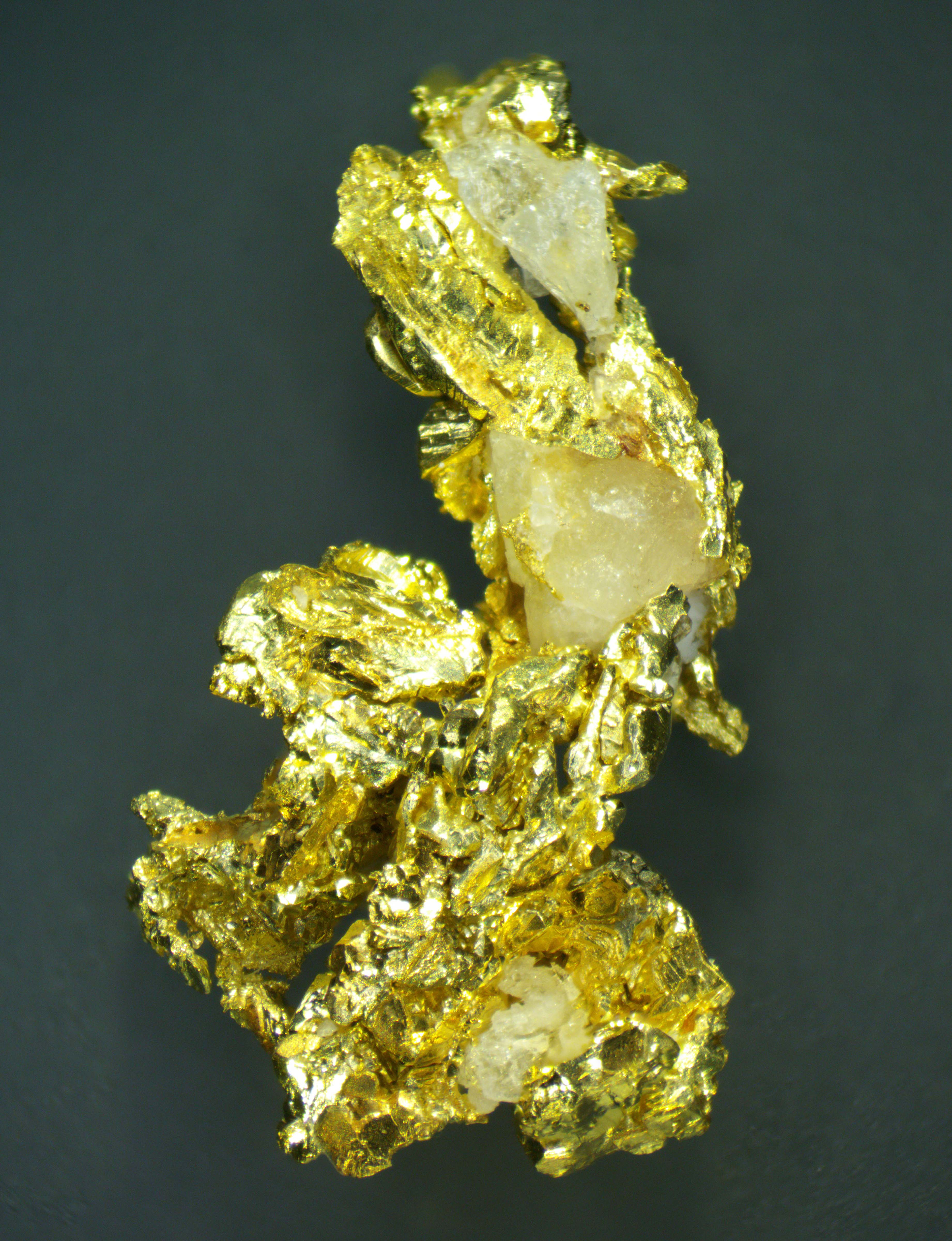 Native Gold Crystal - Sonora Mexico