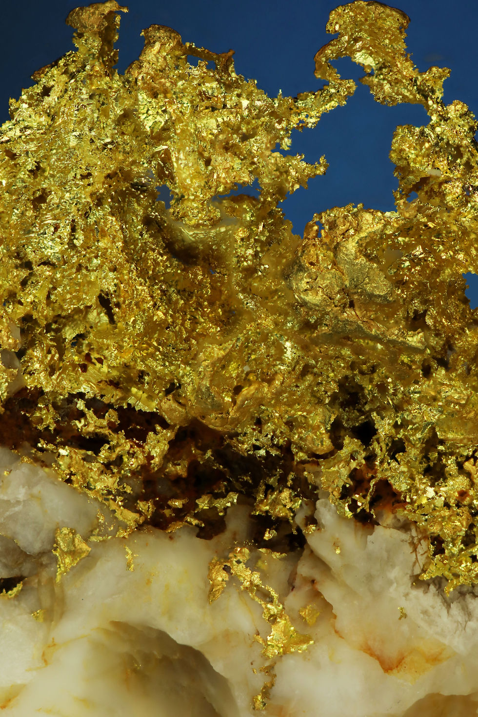 Thumbnail: Crystallized Gold with Quartz - Folsom Mining District, California