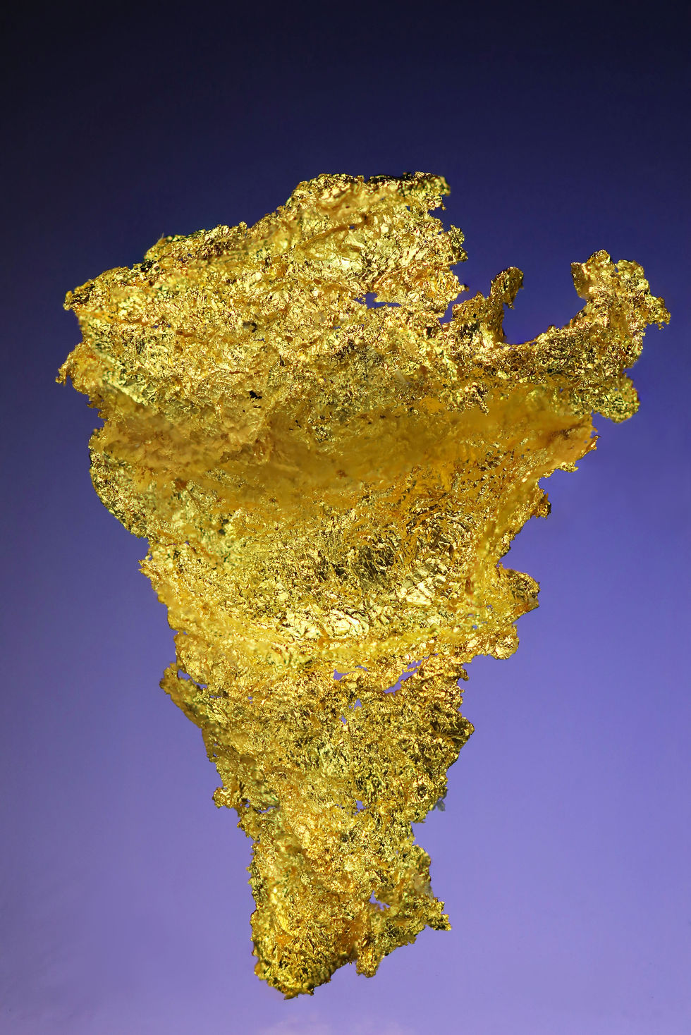 Thumbnail: Crystallized Gold - Oriental Mine, Alleghany, California