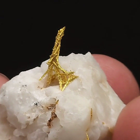 Thumbnail: Gold Crystal - Folsom, El Dorado County, California