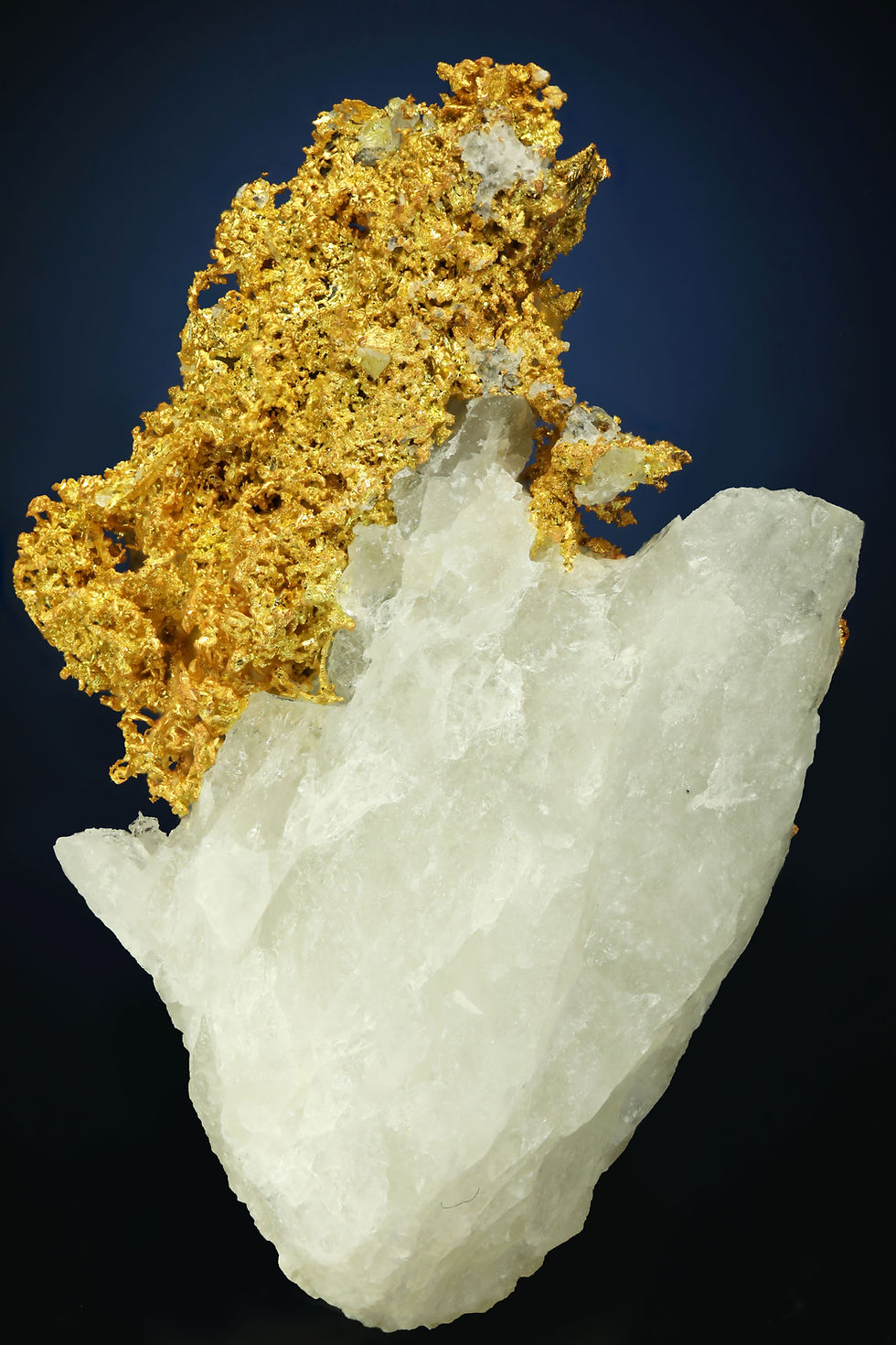Thumbnail: Sponge Gold Wire - Belshazzar Mine, Quartzburg District, Boise County, Idaho