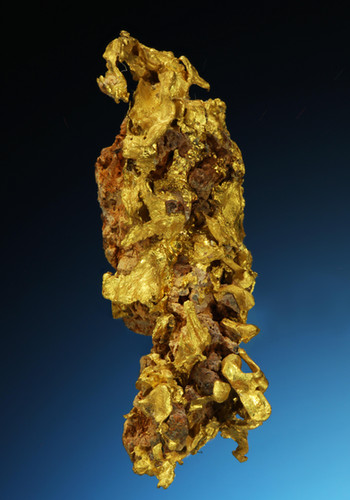Gold Oxide Rocks Gold Crystals on Iron Oxide Matrix - Placer County, California ...