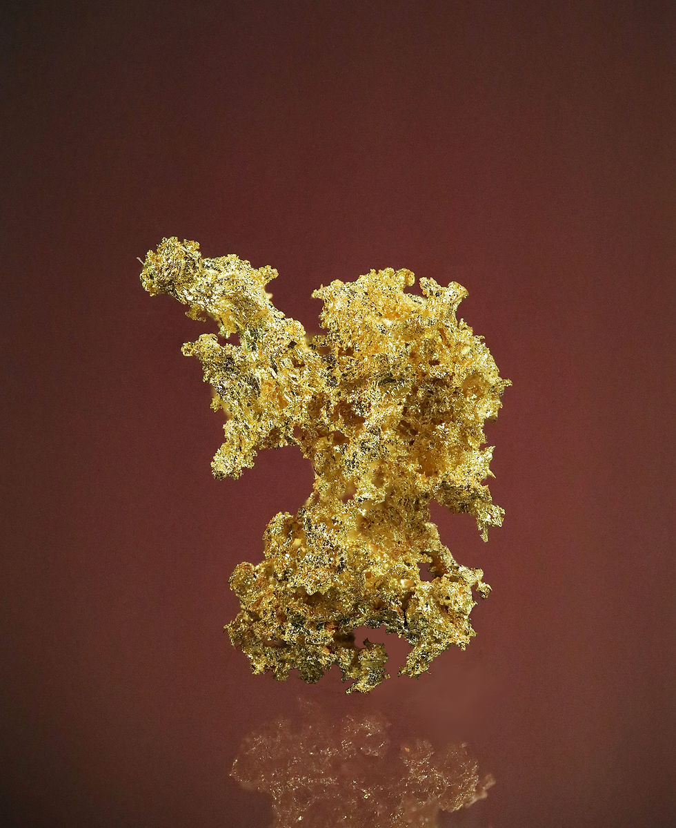 Thumbnail: Native Gold with Galena and Quartz- Kensington Mine, Berners Bay, Alaska