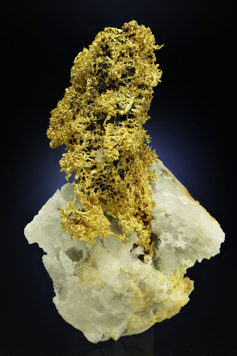 Thumbnail: Crystallized Gold with Sphalerite  Belshazzar Mine, Boise County, Idaho