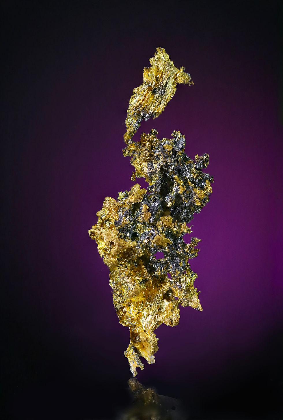 Thumbnail: Crystallized Gold with Petzite and Altaite Calaveras County, California