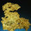 Thumbnail: Crystallized Gold Oriental Mine, Alleghany District, Sierra County, California