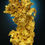Thumbnail: Crystalline Gold - North-Eastern Victoria, Australia (near Rutherglen)