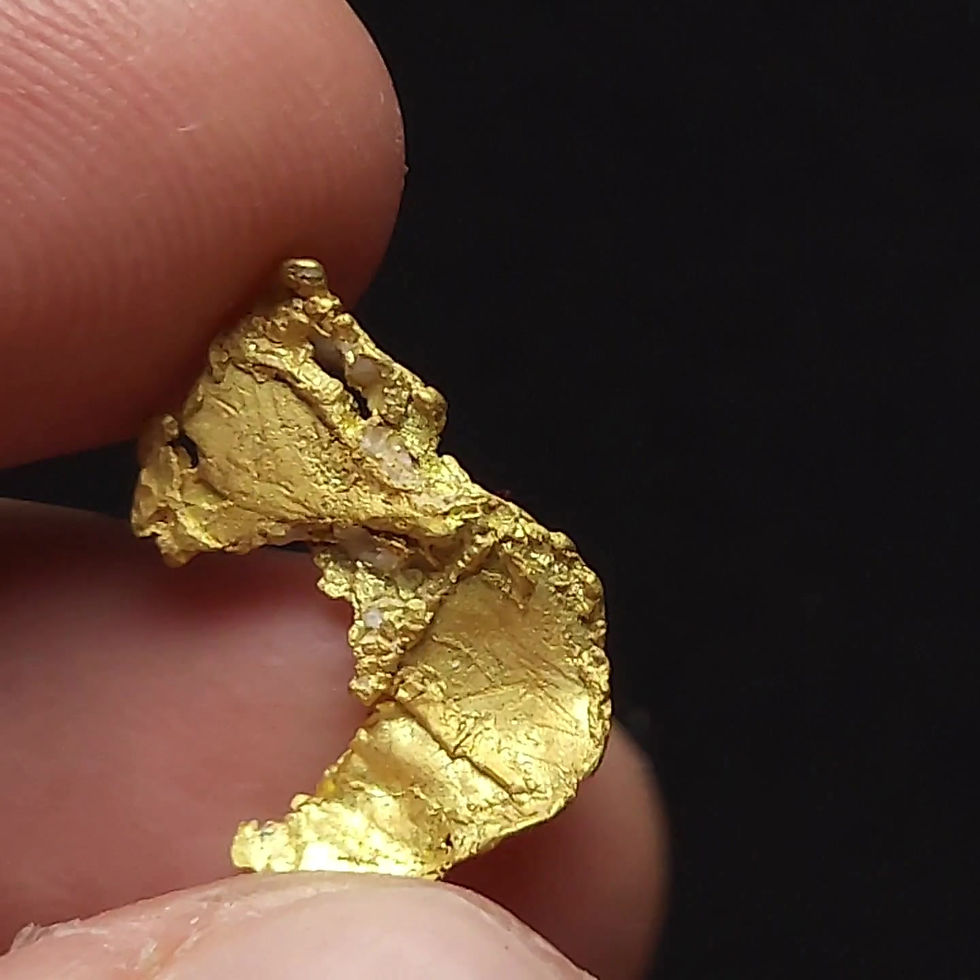 Thumbnail: Native Gold Leaf Crystal   - Dublin Gulch, Mayo District Canada