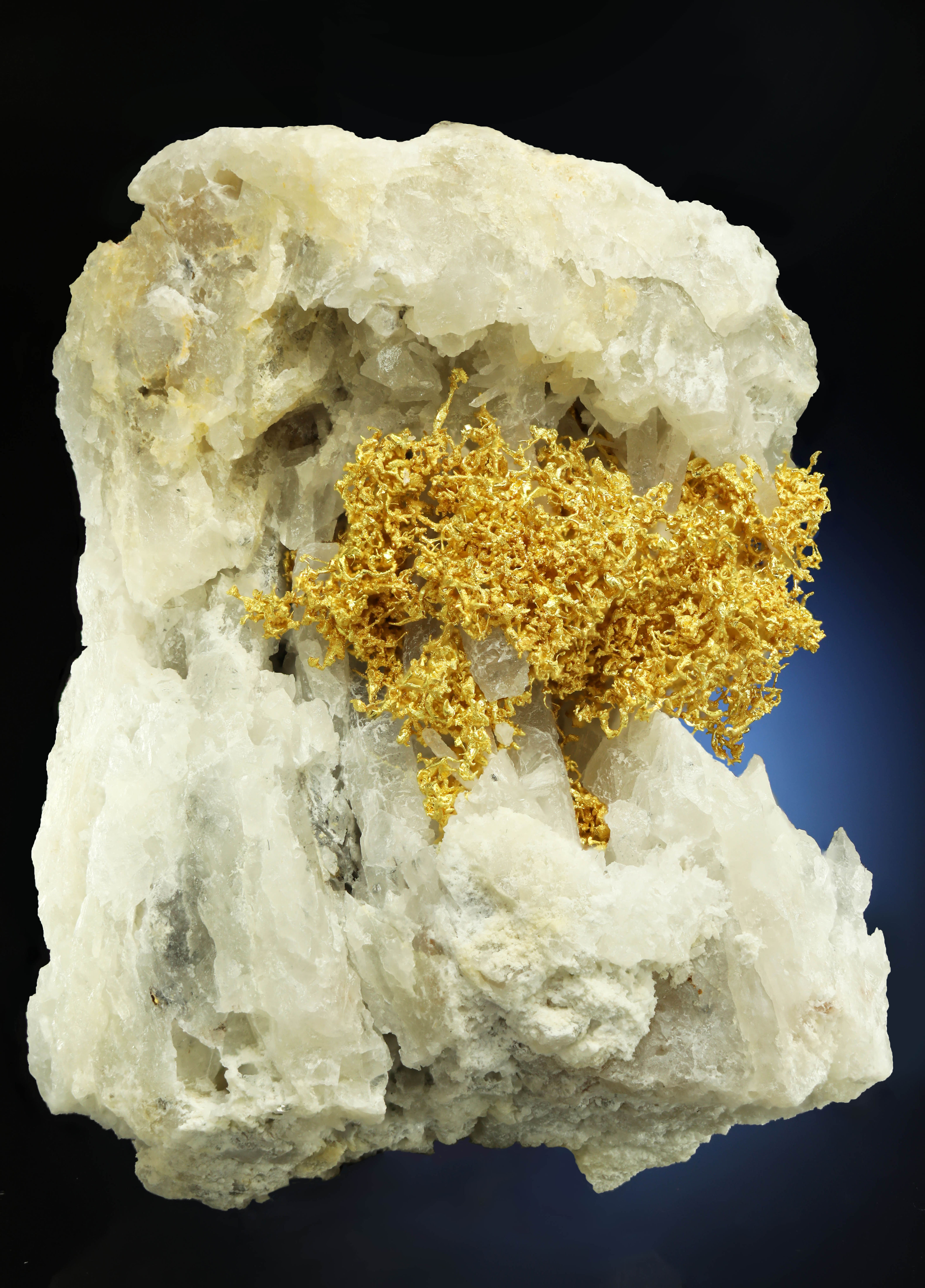 " The Honeycomb" Crystallized Gold Belshazzar Mine, Quartzburg, Boise, Idaho