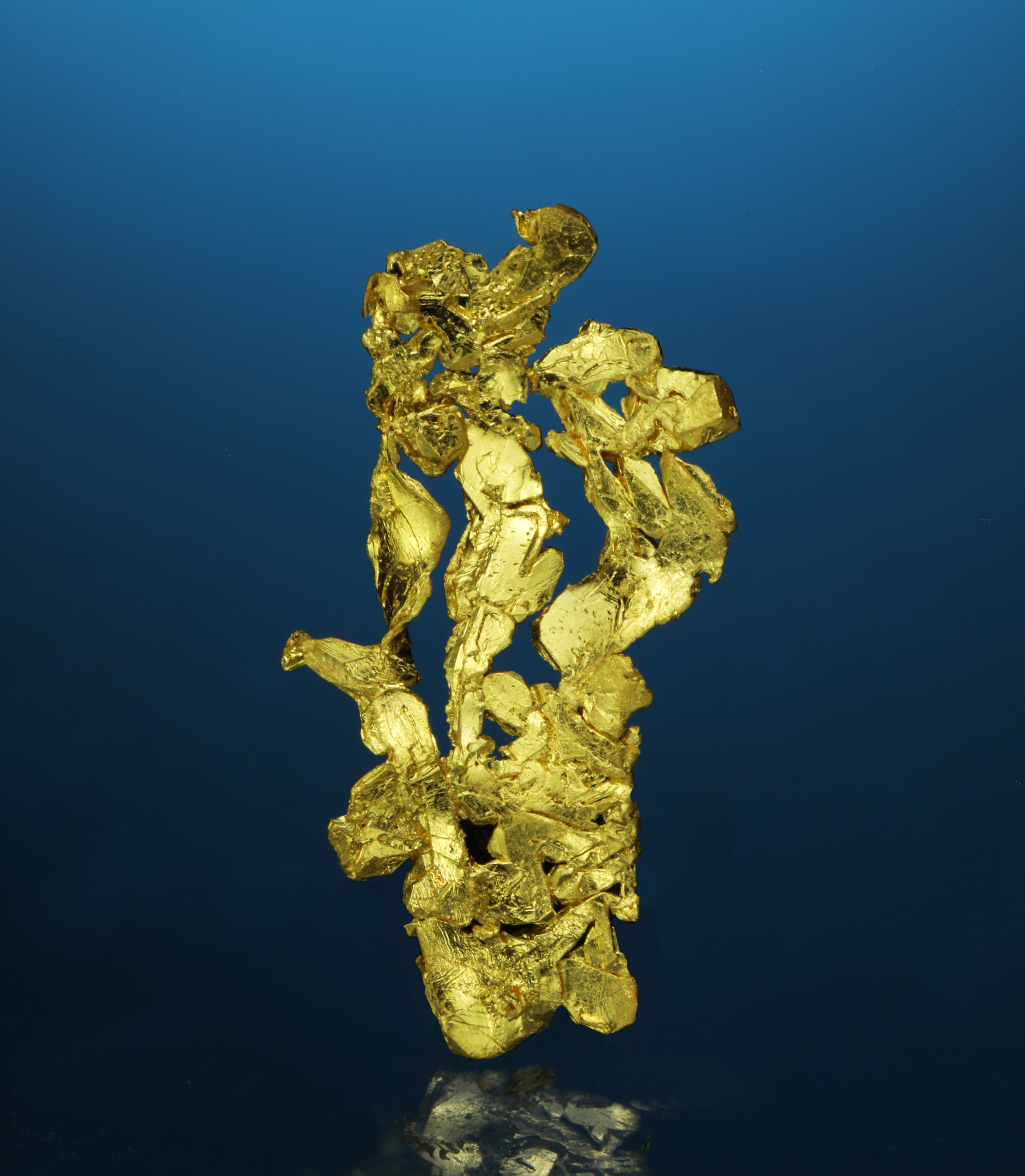 Dendritic Crystallized Gold - Farncomb Hill, Breckenridge Mining District, Color
