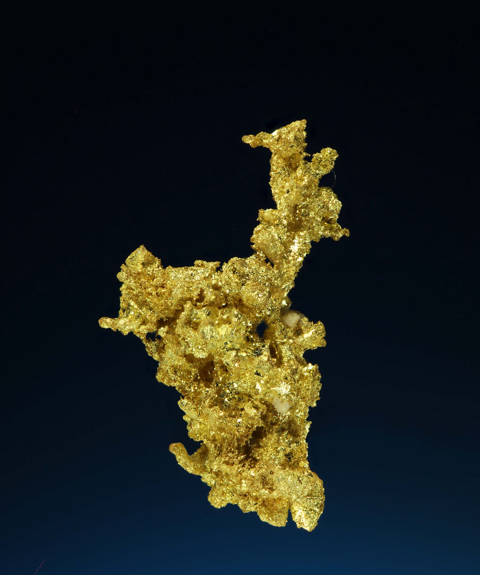 Thumbnail: Crystallized Gold -Belshazzar Mine, Quartzburg Mining, Boise County, Idaho