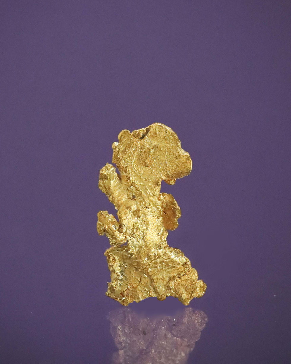 Thumbnail: Native Gold Leaf = Dublin Gulch, Mayo District Canada
