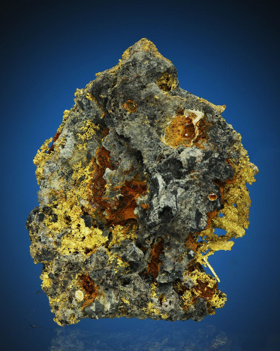 Thumbnail: Gold Wires on Limonite - Breckenridge Mining District, Summit County, Colorado