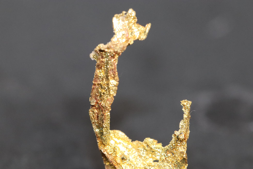 Thumbnail: Native Gold Crystalline "Golden Claw"