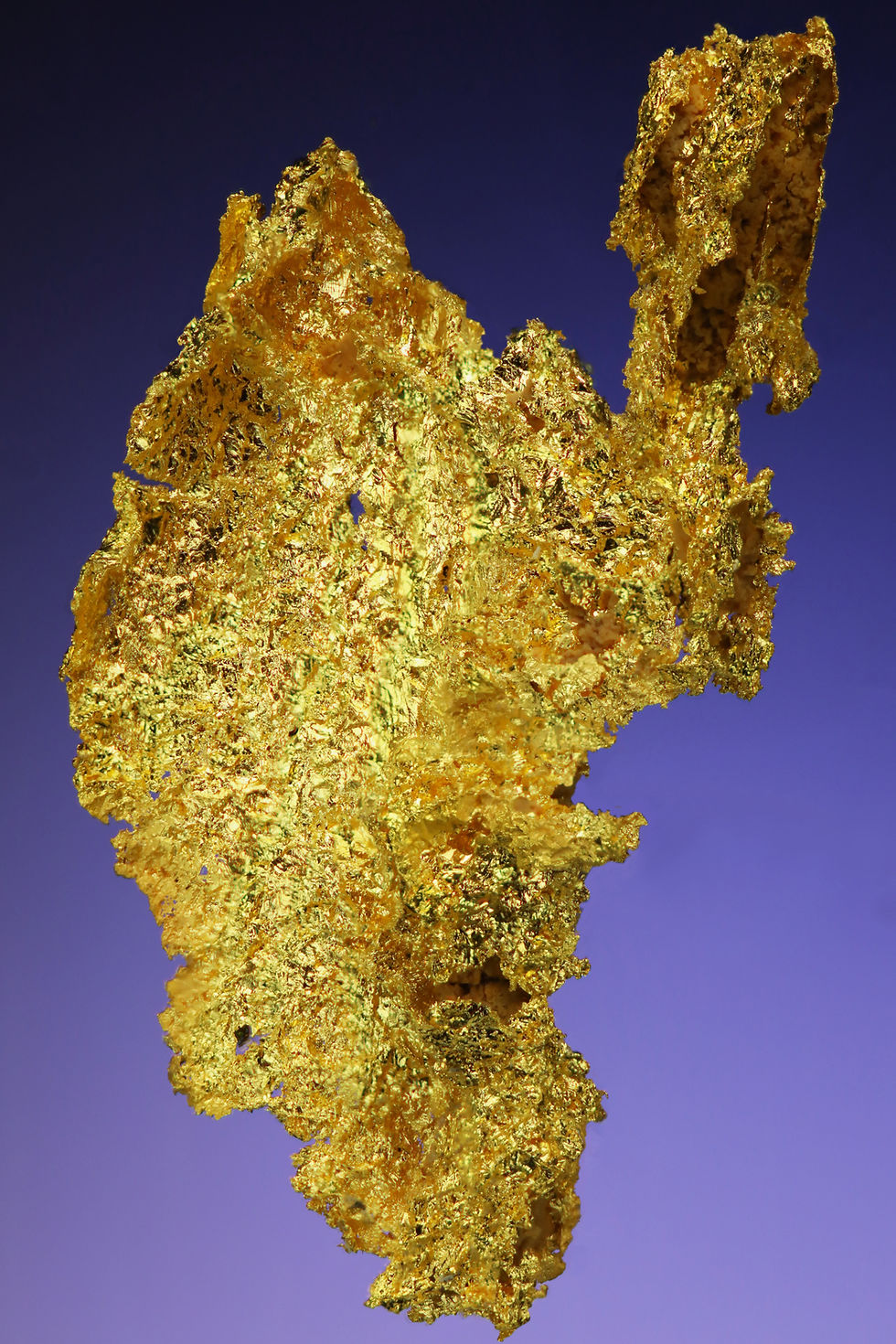 Thumbnail: Crystallized Gold - Oriental Mine, Alleghany, California
