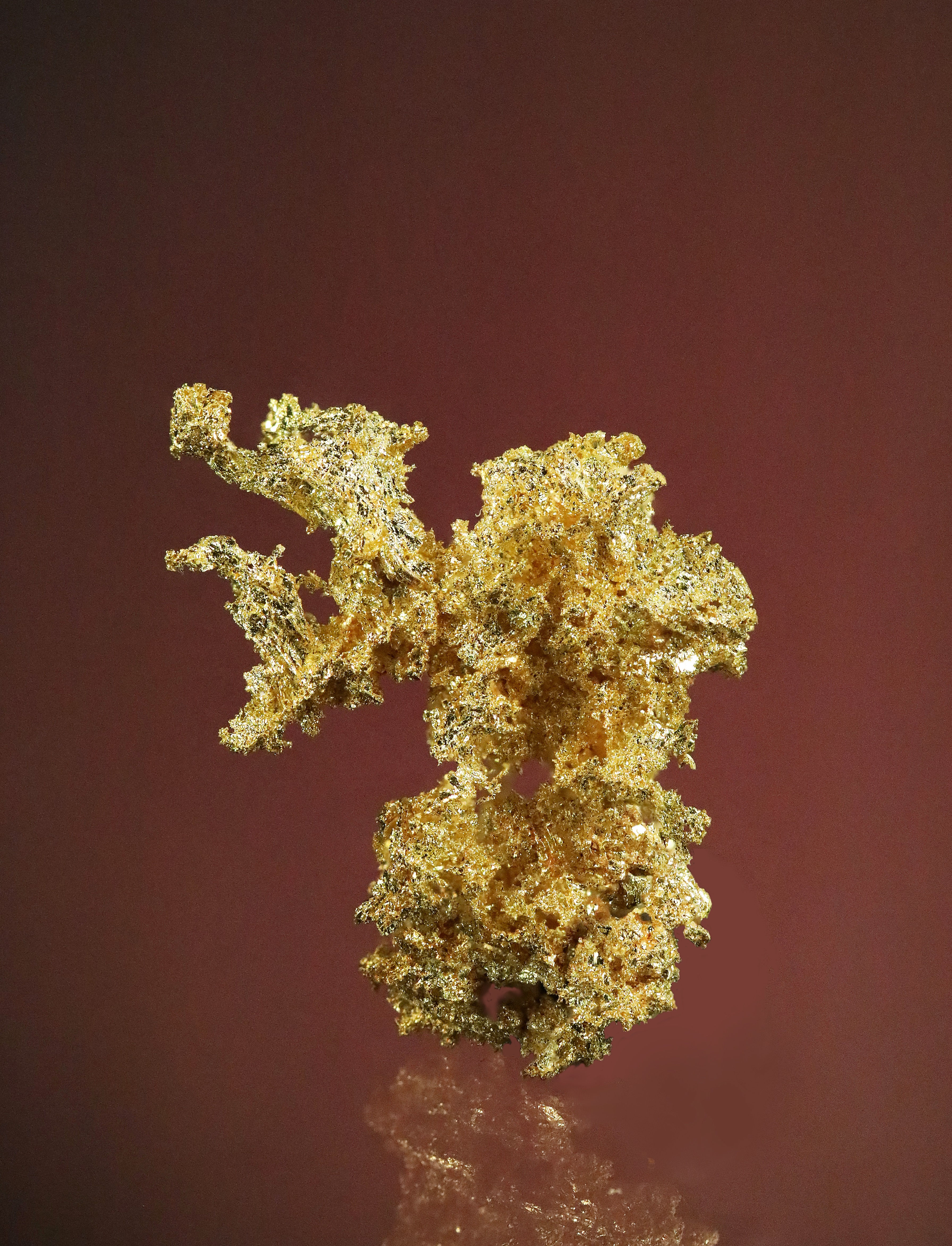 Native Gold with Galena and Quartz- Kensington Mine, Berners Bay, Alaska