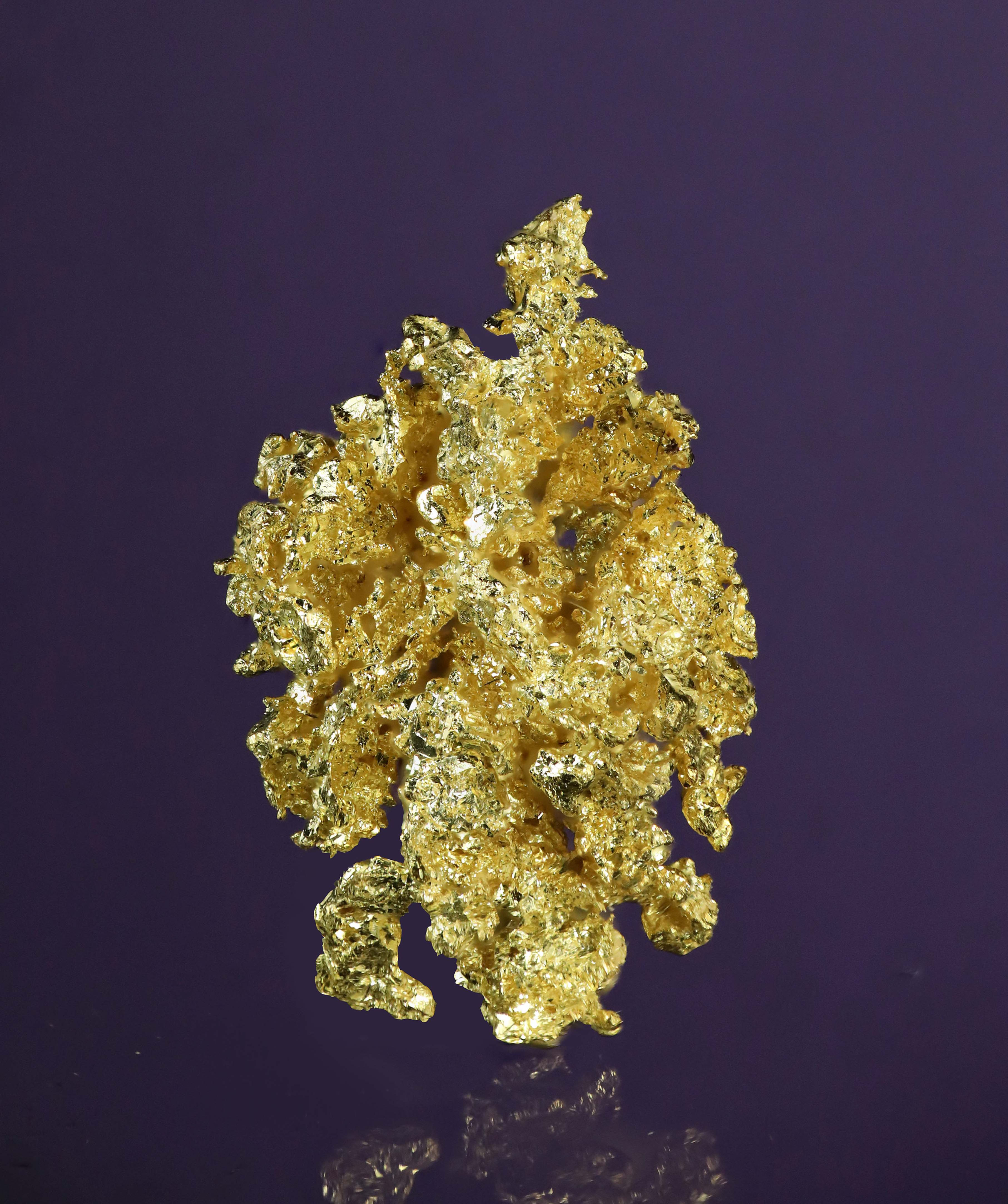 Crystallized Gold - Plumbago Mine, Alleghany District, Sierra County, California
