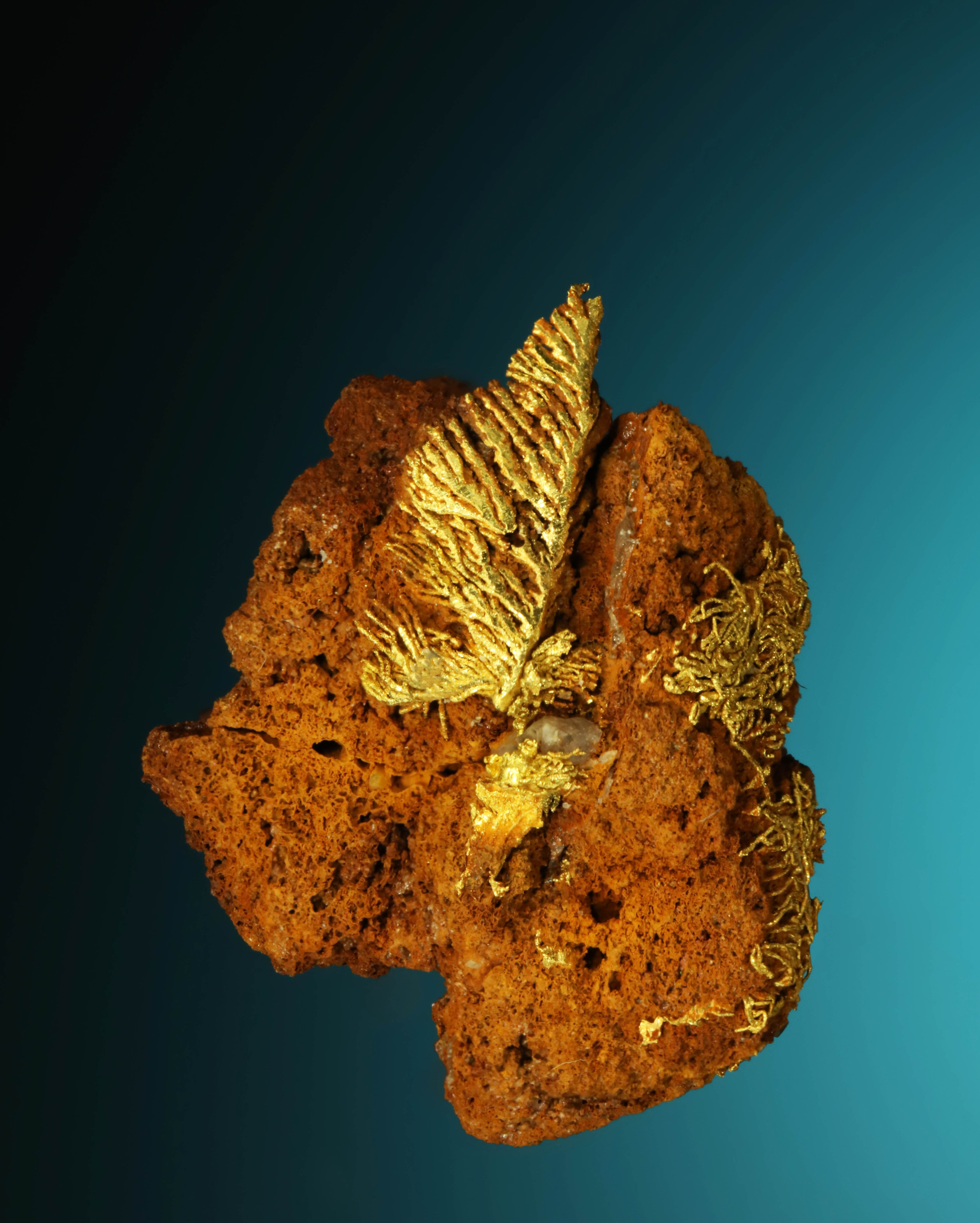 Crystallized Gold Wire - Placer County, California