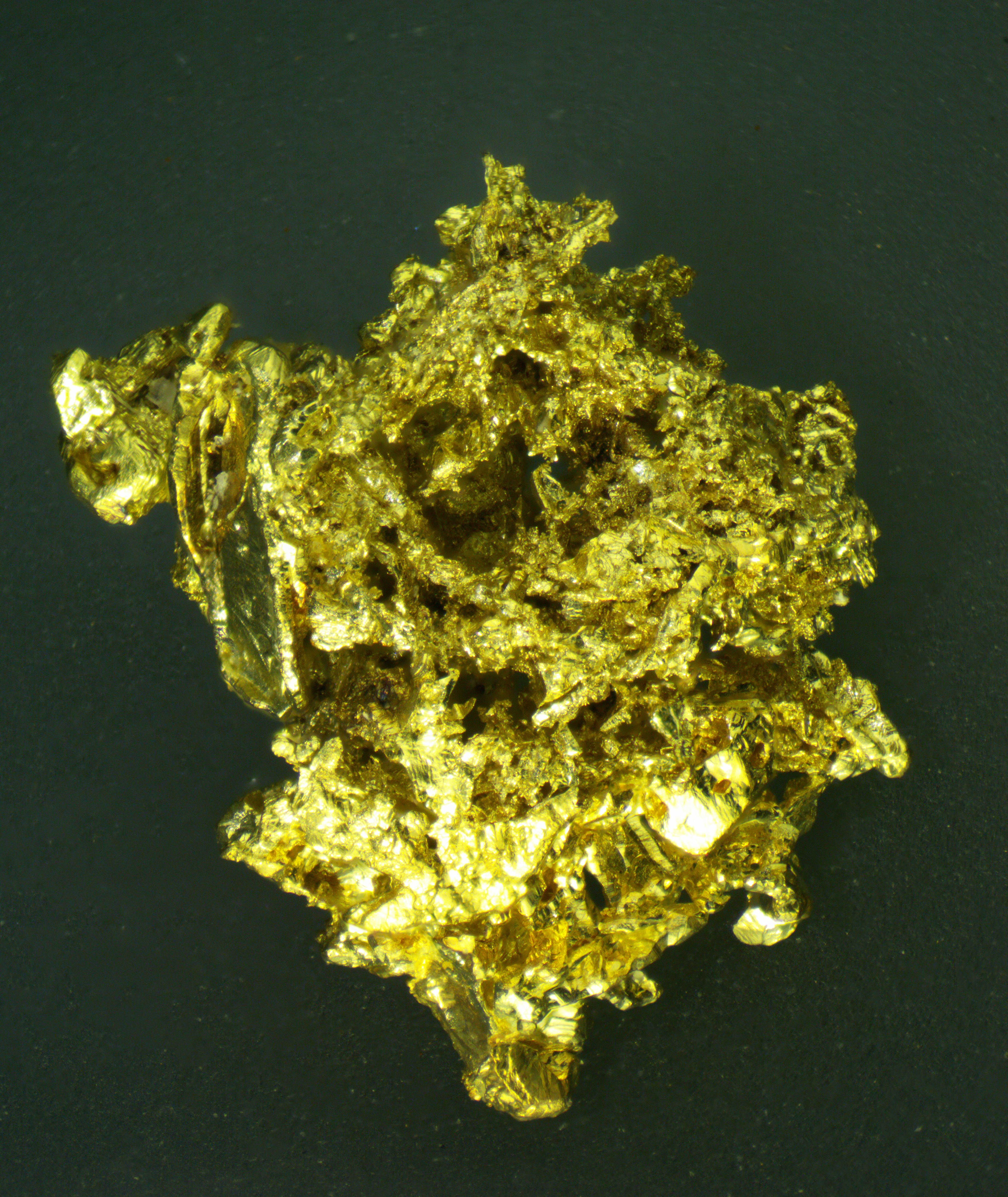 Native Gold Crystal - Sonora Mexico