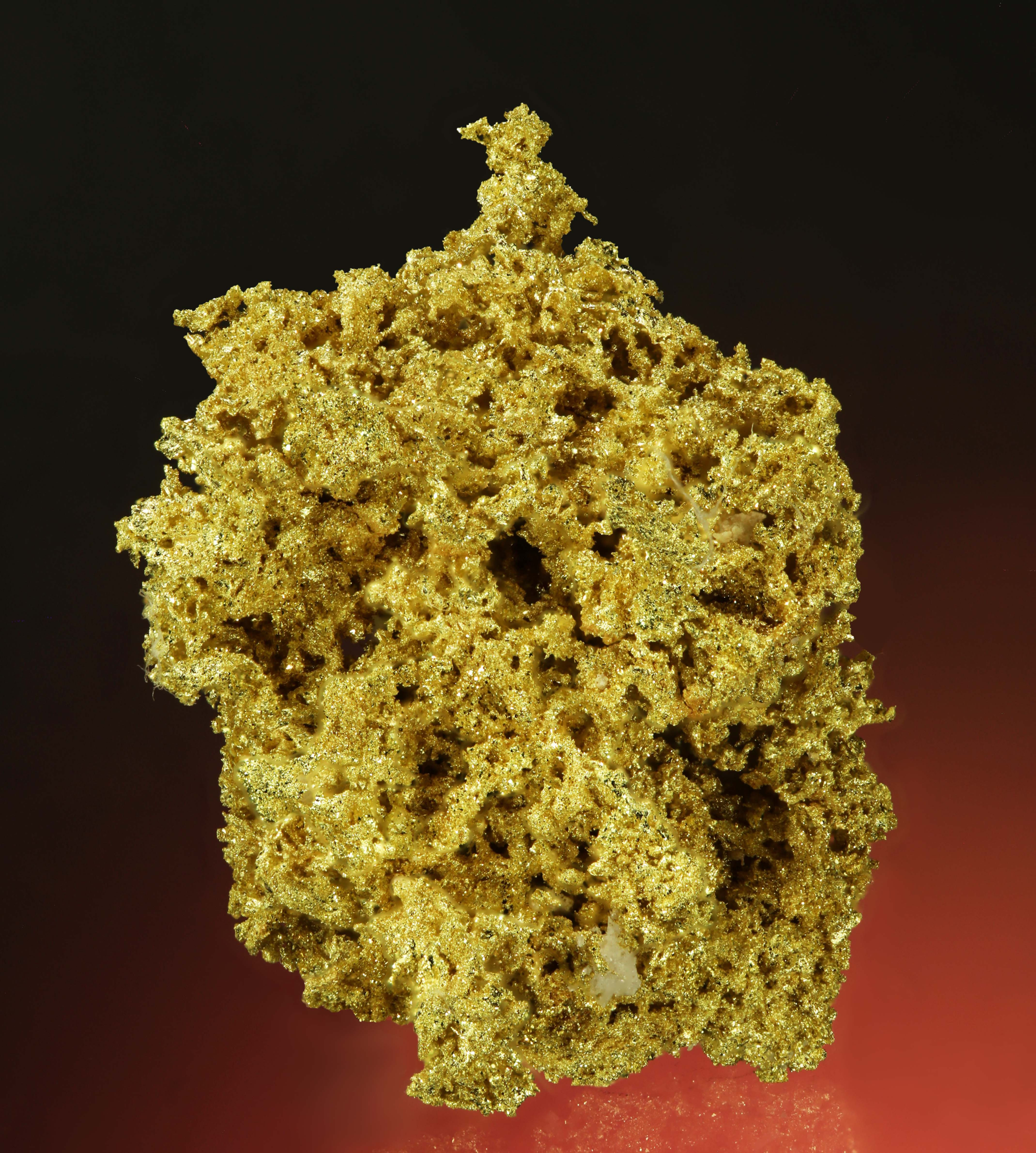 Wire Gold Cluster - Belshazzar Mine, Quartzburg Mining, Boise County, Idaho