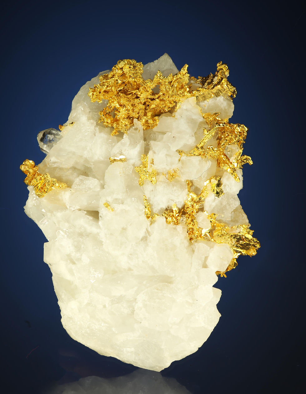 Thumbnail: Crystallized Gold on Quartz - Sonora, Mexico