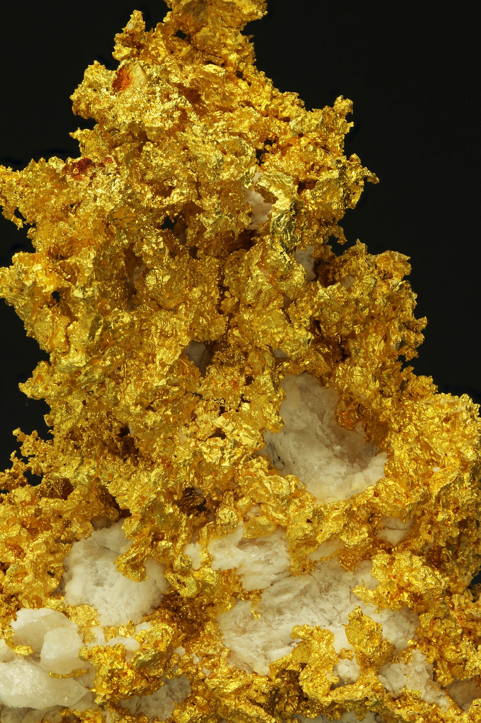 Thumbnail: Crystallized Gold on Quartz - Round Hill Mine, 750' Level, El Dorado, California