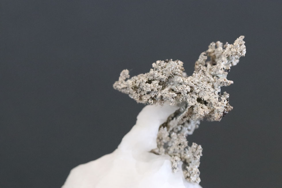 Thumbnail: Native Silver Vine on Calcite