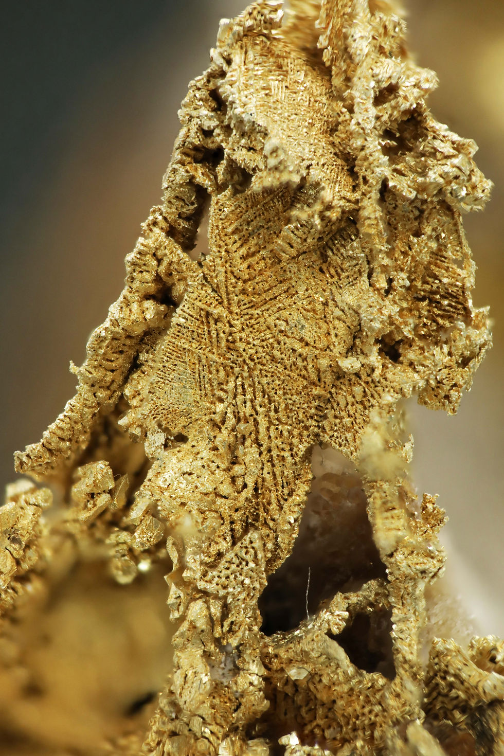 Thumbnail: Gold Crystals on Quartz - Round Mountain Mine, Nye County, Nevada, USA