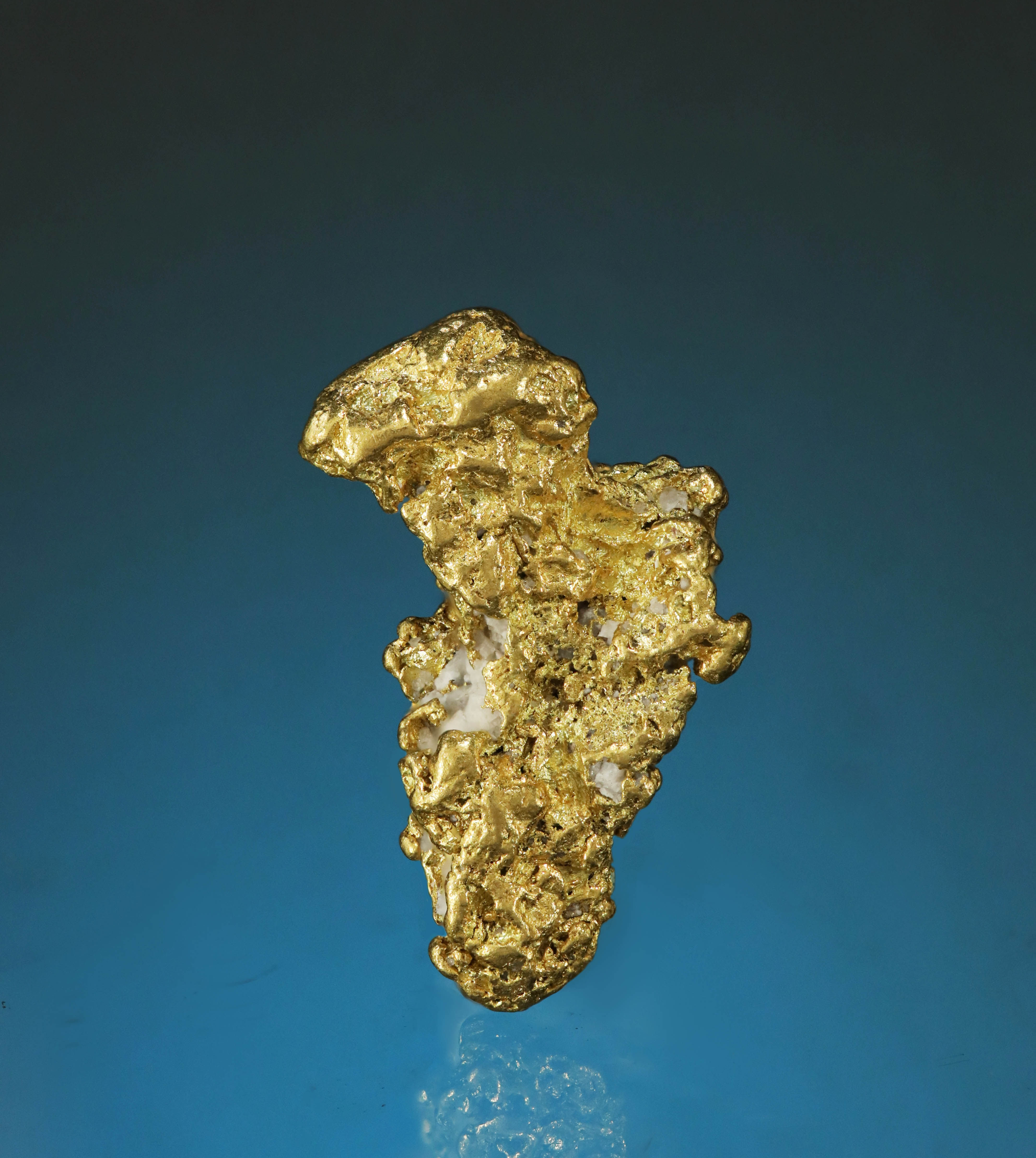 Gold Nugget - Sierra County, California