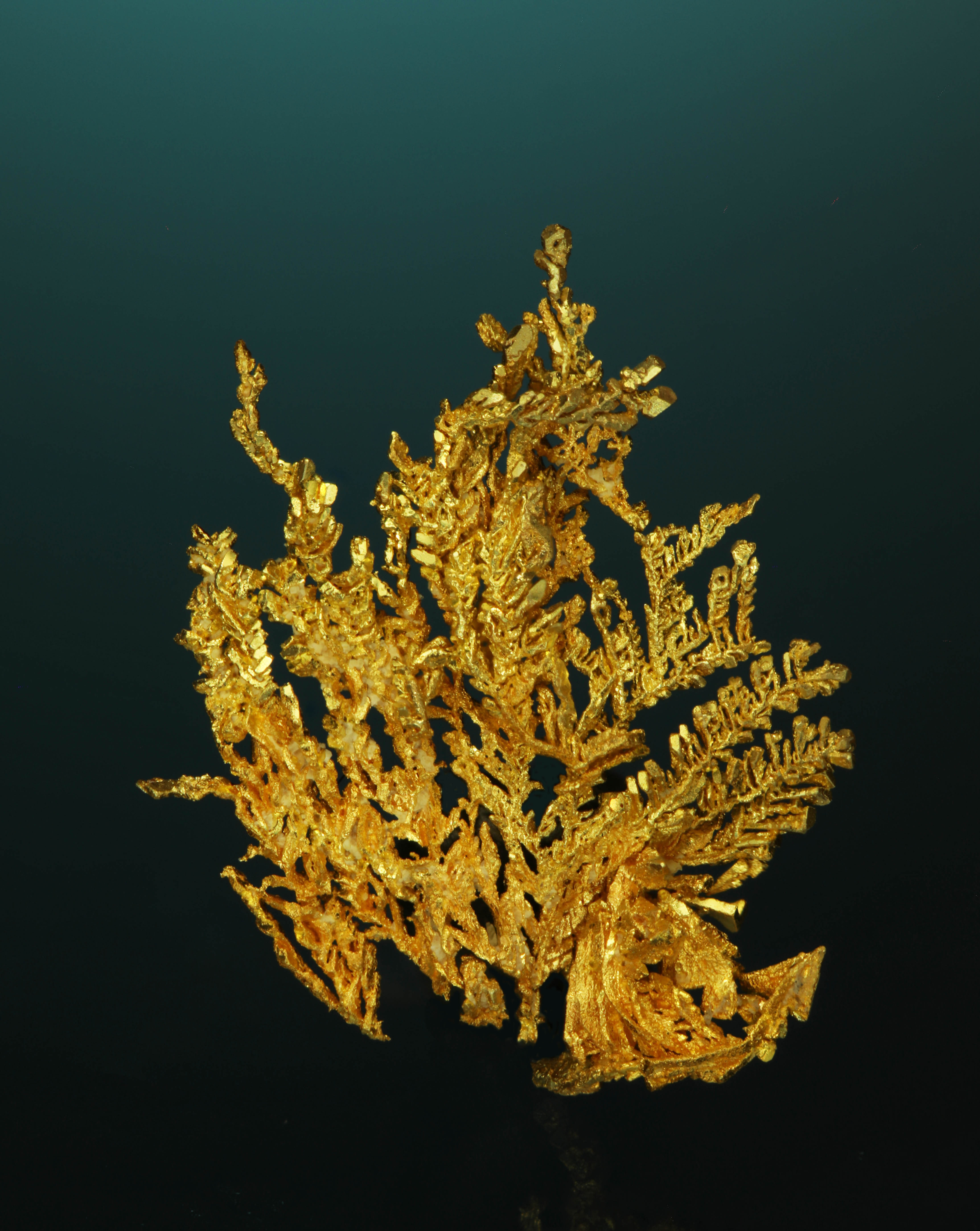 Dendritic Gold Crystal - Round Mountain Mine, Nye County, Nevada, USA