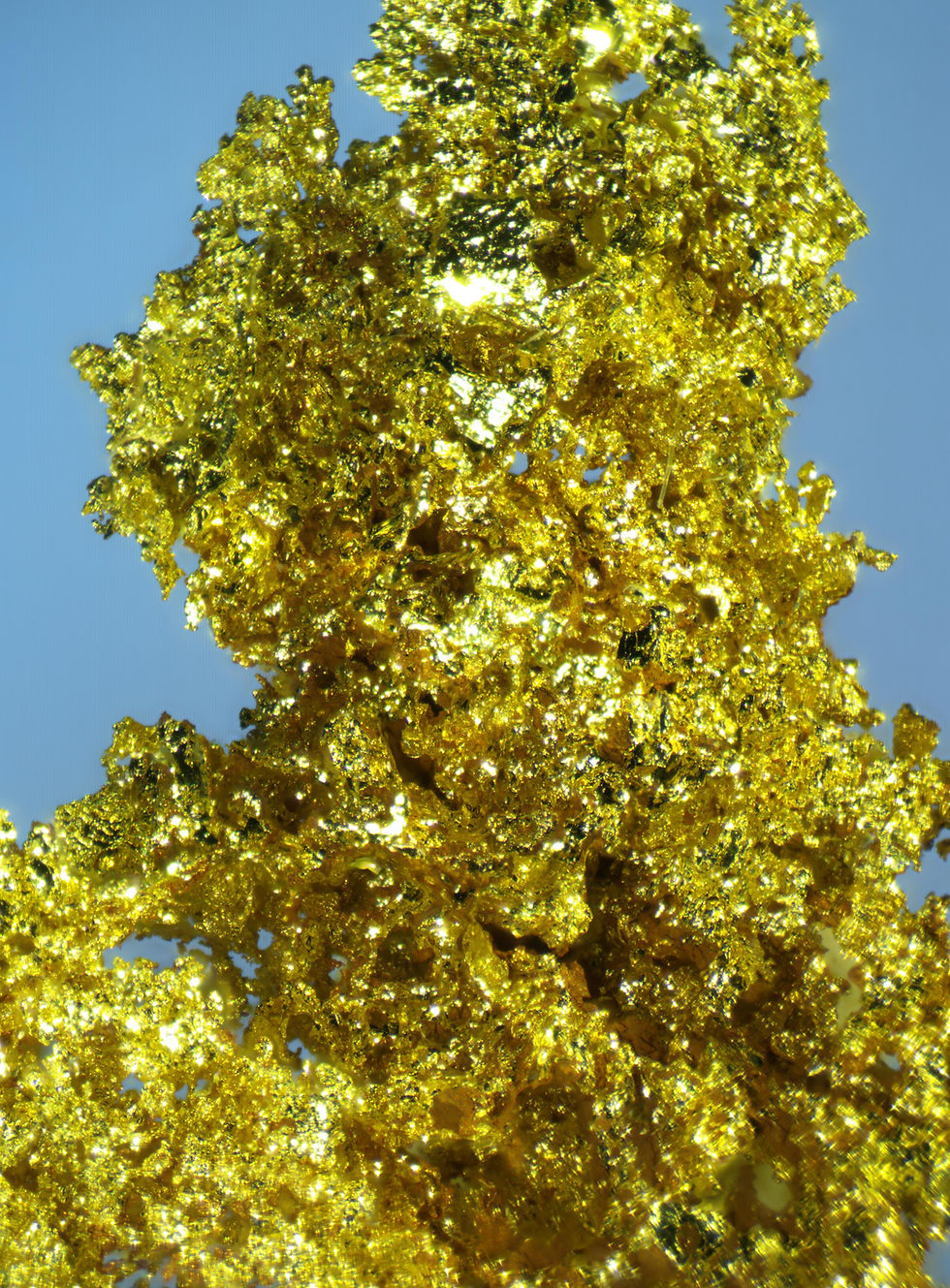 Thumbnail: Native Gold - Kensington Mine, Berners Bay, Alaska U.S.A.