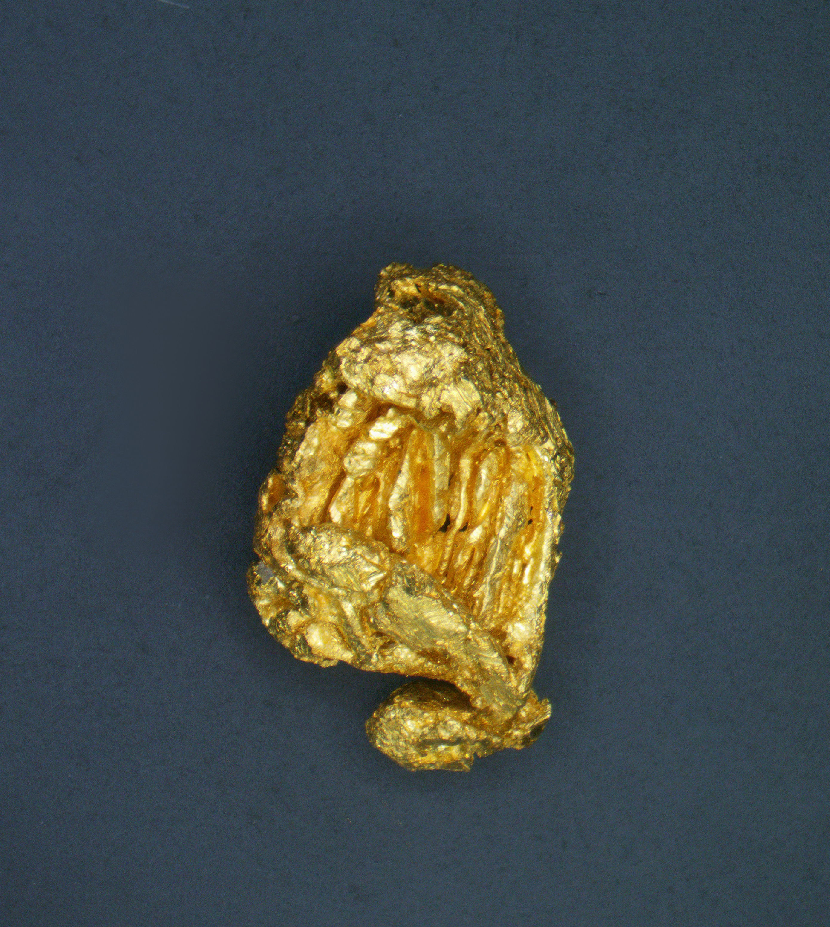 Native Wire Gold Crystal El Dorado County, California U.S.A.