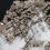 Thumbnail: Morocco Native silver on calcite