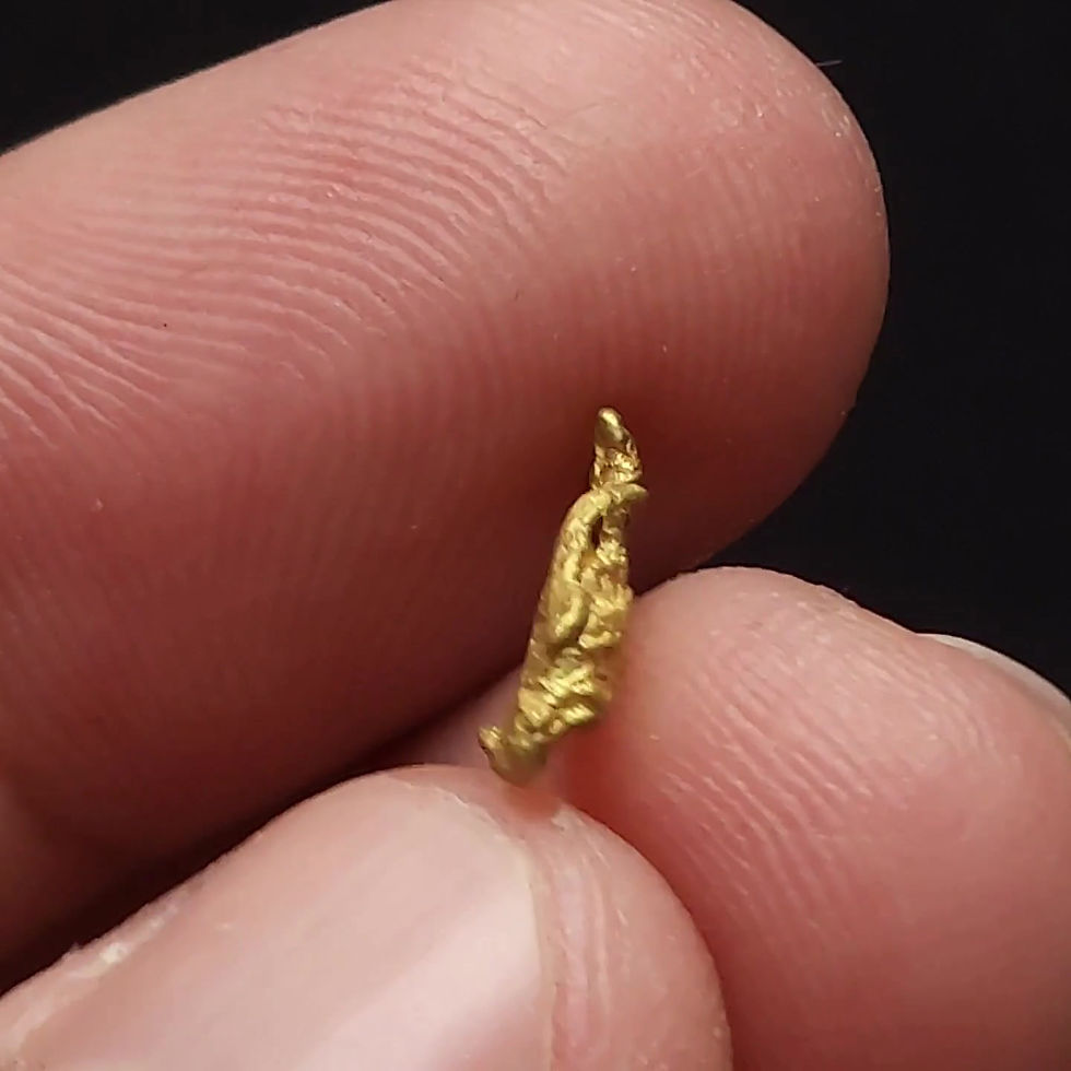 Thumbnail: Leafy Gold Nugget - Dublin Gulch, Mayo District Canada