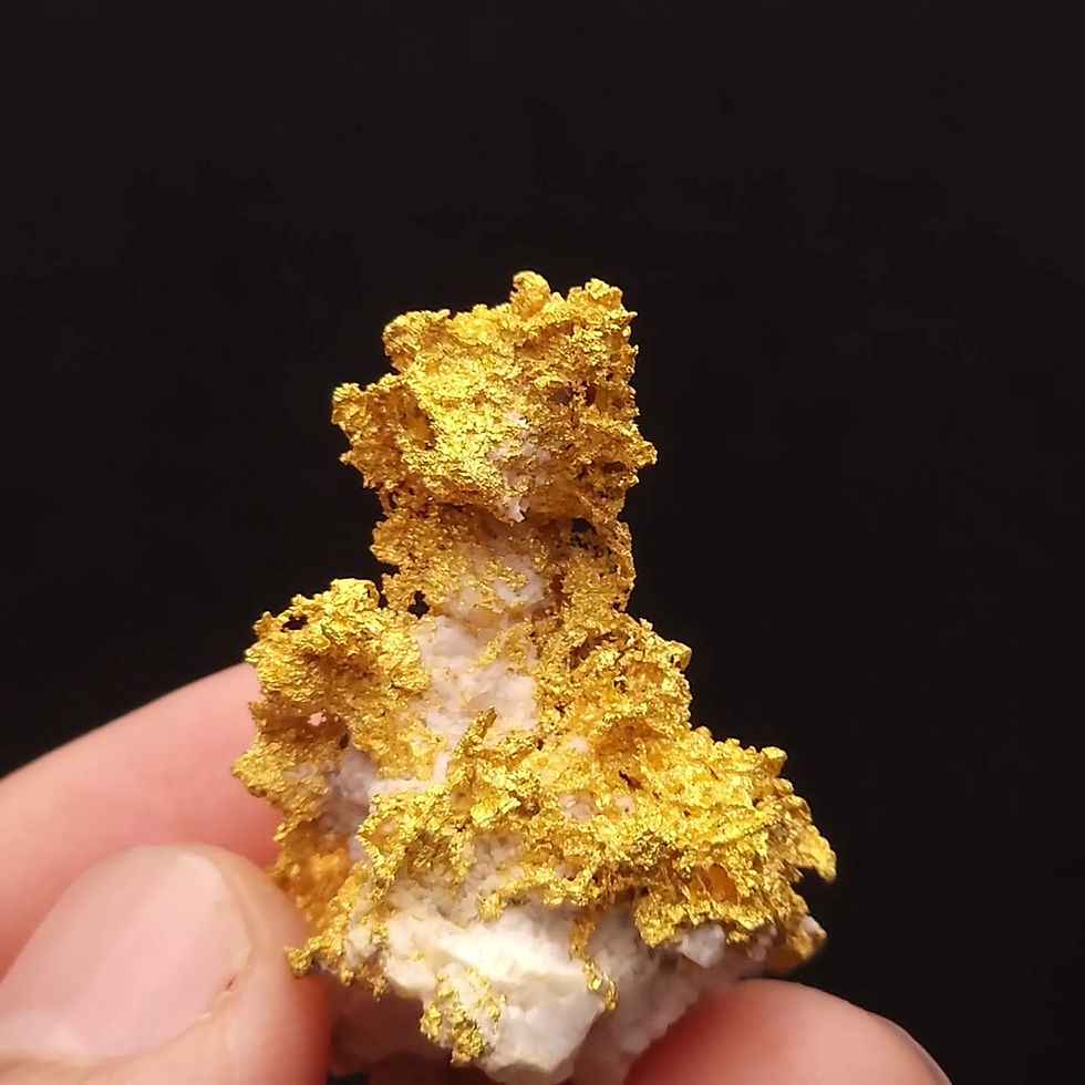 Thumbnail: Crystallized Gold on Quartz - Agua Fria, Mariposa County, California