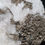 Thumbnail: Morocco Native silver on calcite