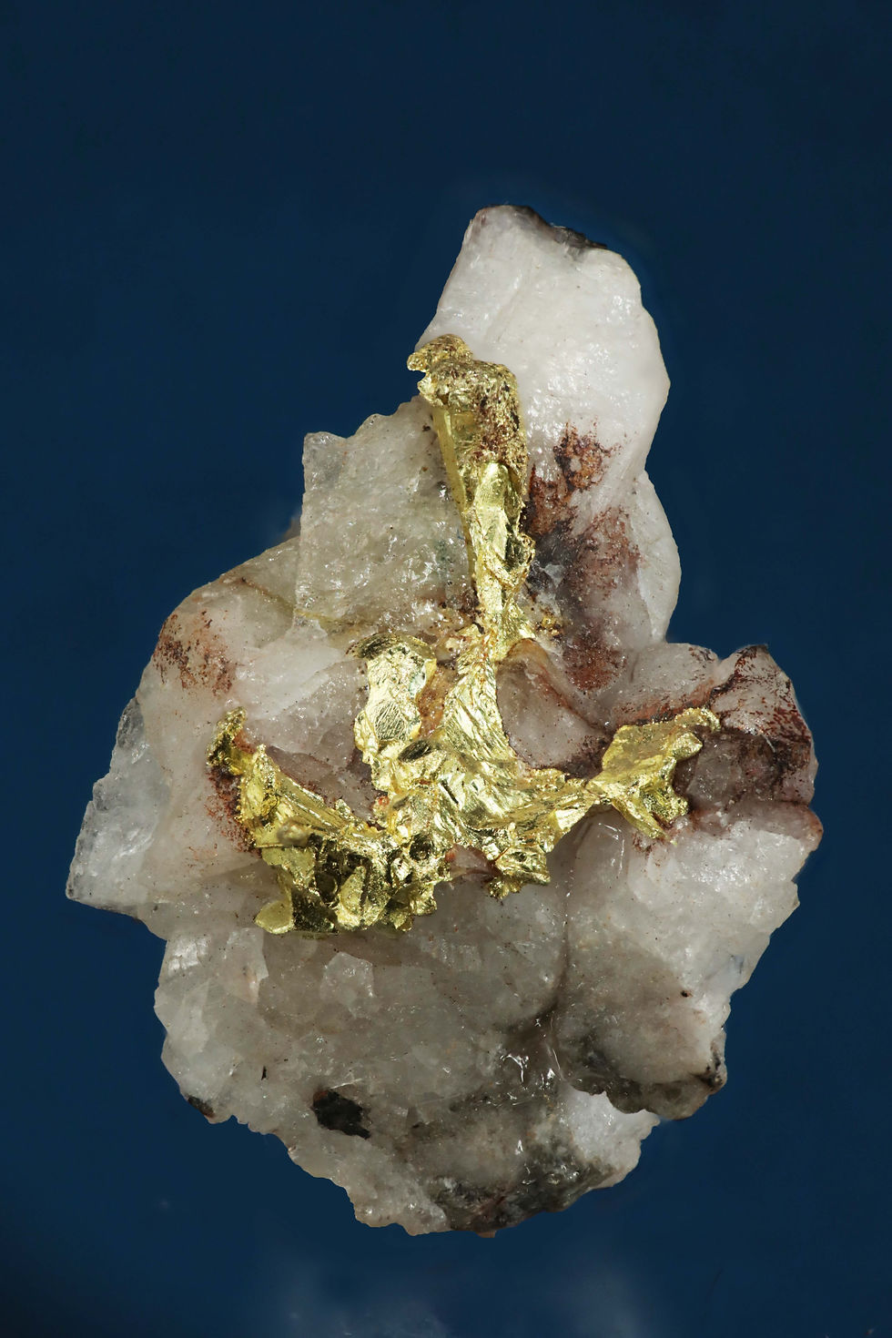 Gold on Quartz - Sonora, Mexico