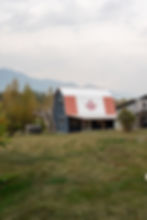 maple lodge, canadian rockies lodging