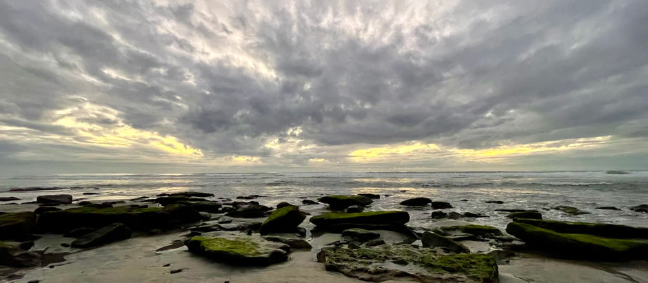 Walk With We - January 17, 2022, Moonlight Beach, CA