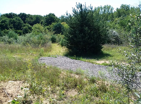 image10.jpeg