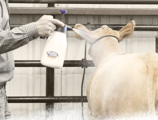 Daily Hair Care Guide