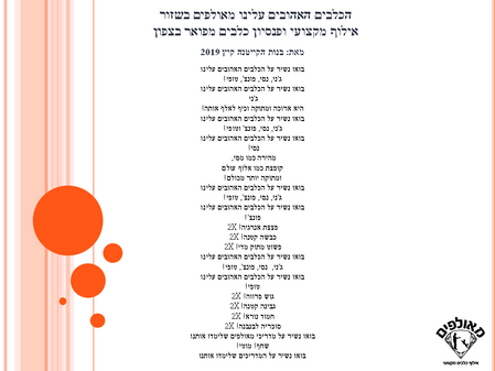 הכלבים האהובים עלינו במאולפים בשזור