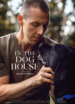 In the Doghouse