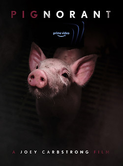 Pignorant poster Prime Video.jpg