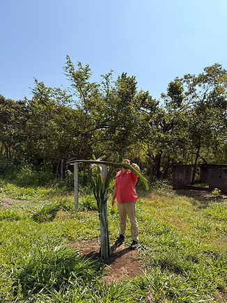 WhatsApp Image 2026-01-08 at 5.28.50 PM (2).jpeg