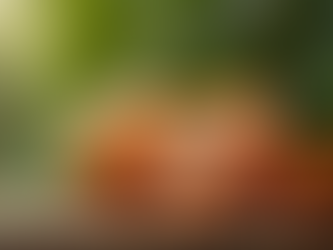 Pitahaya: Calidad y Trazabilidad en la Exportación