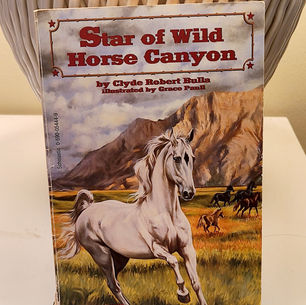 Star of Wild Horse Canyon by Clyde Robert Bulla
